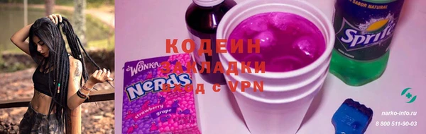 крисы Мегион