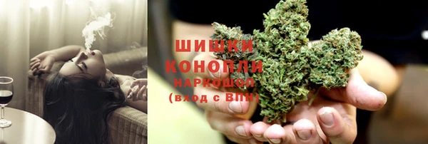 крисы Мегион