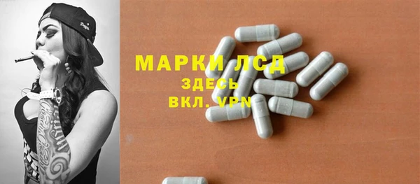 трава Медвежьегорск