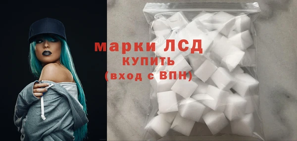 трава Медвежьегорск