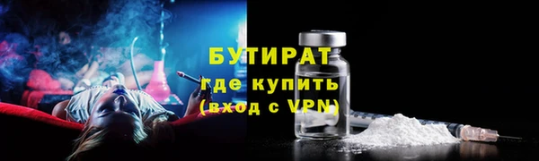 индика Гусь-Хрустальный