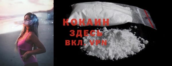 крисы Мегион