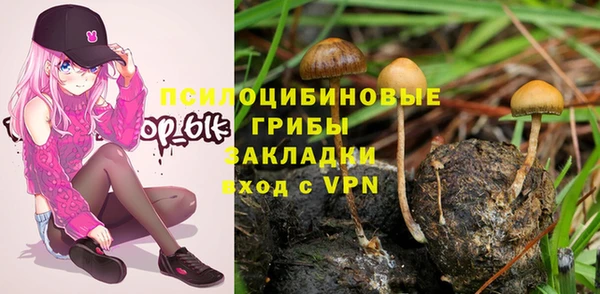 СК Бронницы