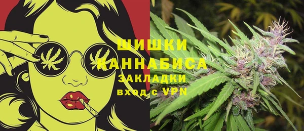 трава Медвежьегорск
