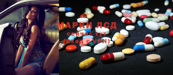 трава Медвежьегорск
