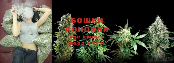 крисы Мегион
