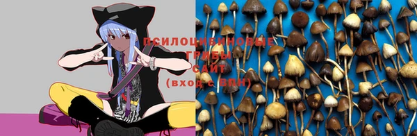 крисы Мегион
