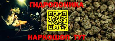 молекула духа Берёзовский