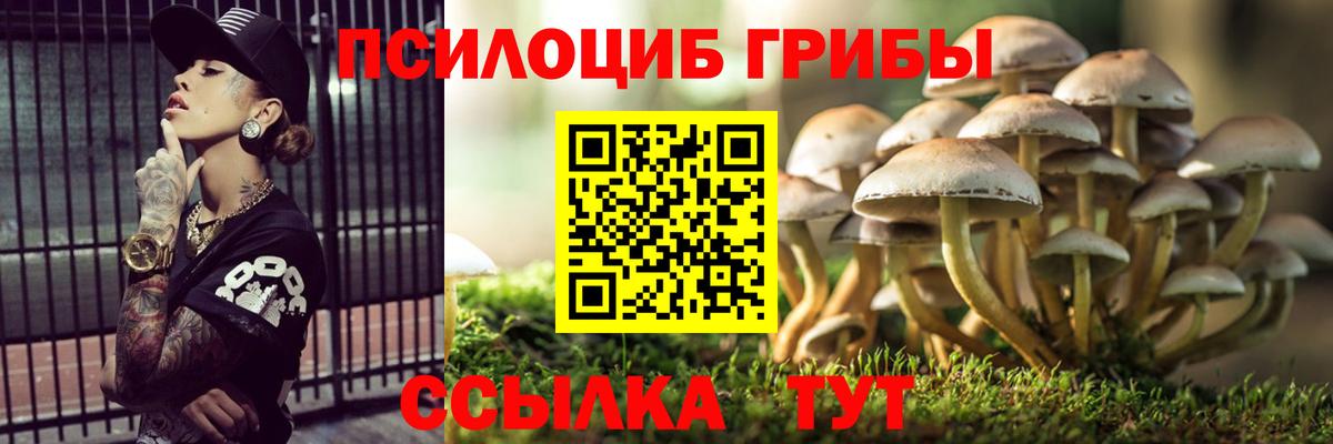 Галлюциногенные грибы Psilocybe  Вход с VPN  Псилоцибиновые грибы Magic Shrooms  Дубна 